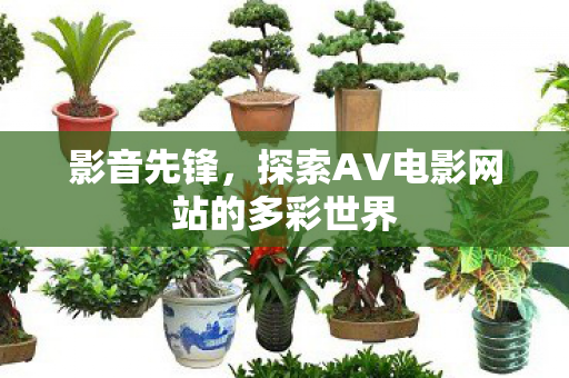 探索AV电影网站的多彩世界图片
