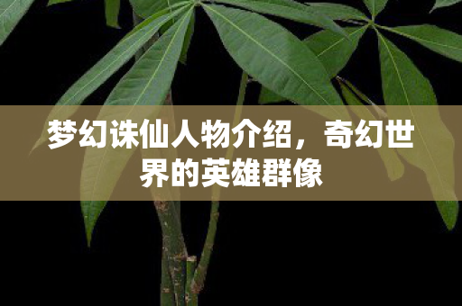 奇幻世界的英雄群像图片