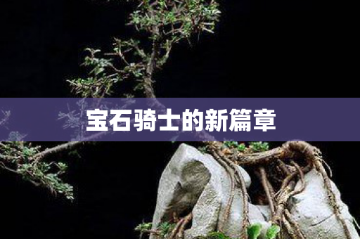 宝石骑士的新篇章图片