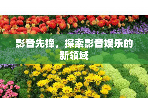 探索影音娱乐的新领域图片
