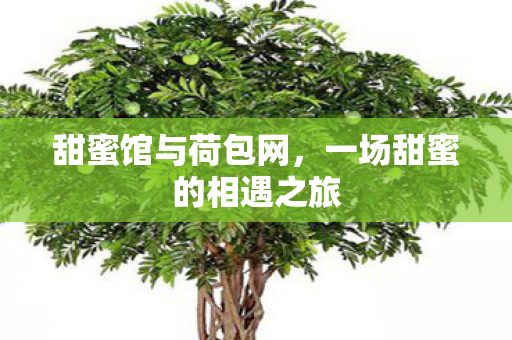 一场甜蜜的相遇之旅图片
