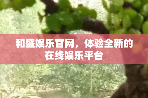 体验全新的在线娱乐平台图片