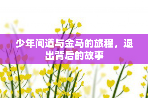少年问道与金马的旅程图片