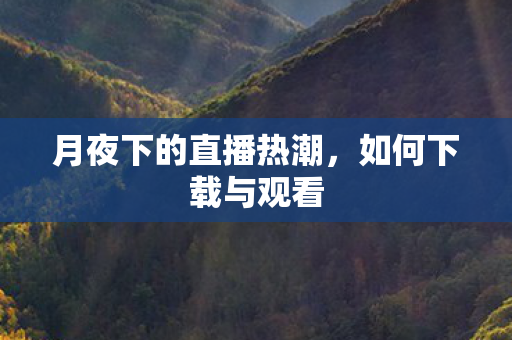 月夜下的直播热潮图片