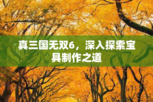 深入探索宝具制作之道图片