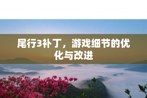 游戏细节的优化与改进图片