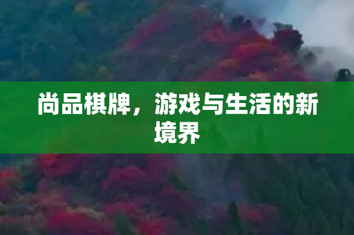 游戏与生活的新境界图片