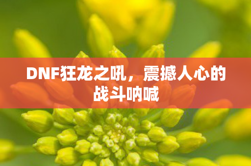 震撼人心的战斗呐喊图片