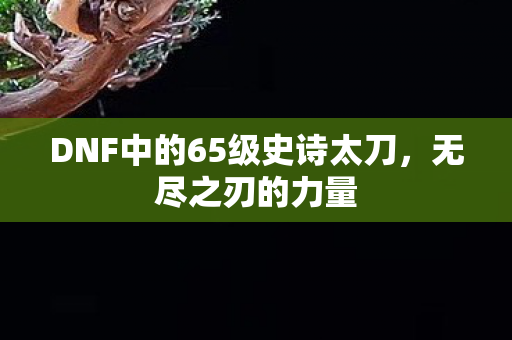 DNF中的65级史诗太刀图片