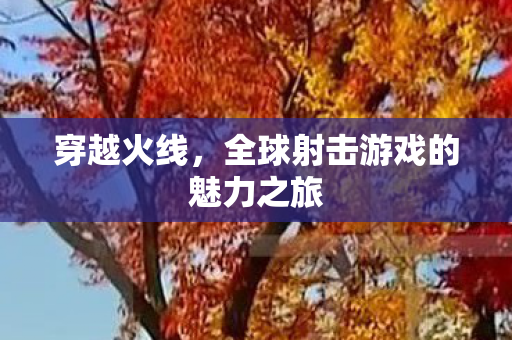 全球射击游戏的魅力之旅图片