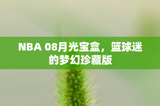 NBA 08月光宝盒图片
