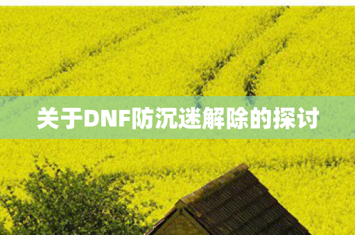 关于DNF防沉迷解除的探讨图片