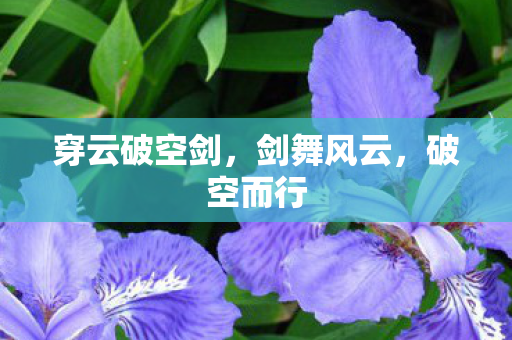 穿云破空剑图片
