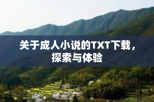 关于成人小说的TXT下载图片