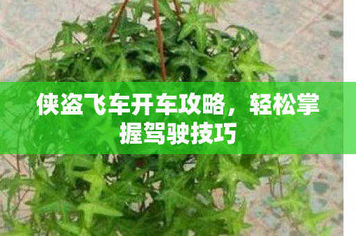 侠盗飞车开车攻略图片