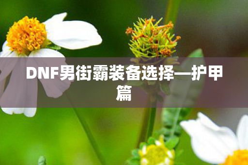 DNF男街霸装备选择图片