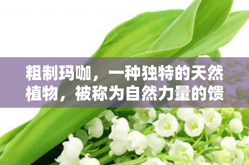 被称为自然力量的馈赠图片