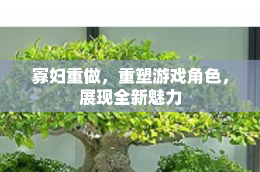 重塑游戏角色图片