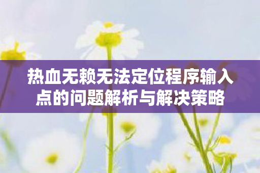 热血无赖无法定位程序输入点的问题解析与解决策略图片