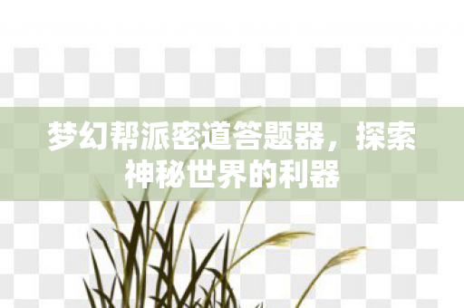 梦幻帮派密道答题器图片