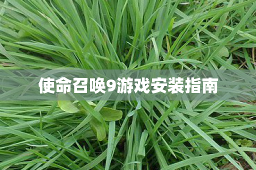 使命召唤9游戏安装指南图片
