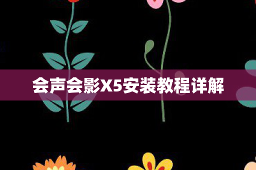 会声会影X5安装教程详解图片