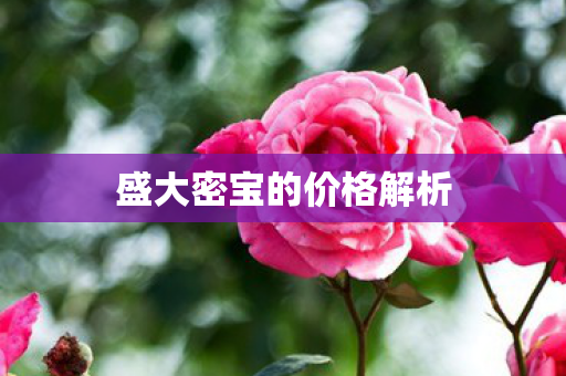 盛大密宝的价格解析图片