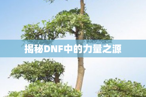 揭秘DNF中的力量之源图片