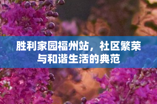 社区繁荣与和谐生活的典范图片