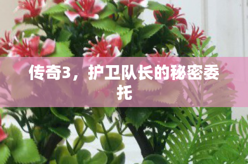 护卫队长的秘密委托图片