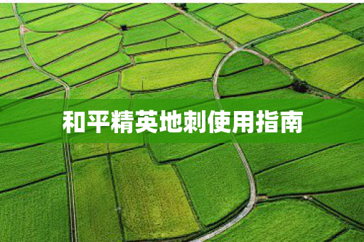 和平精英地刺使用指南图片