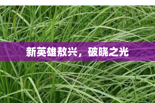 新英雄敖兴图片