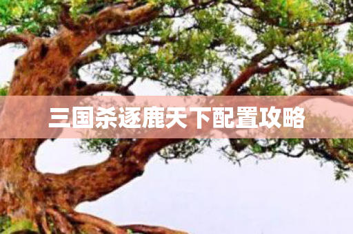 三国杀逐鹿天下配置攻略图片
