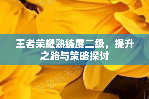 王者荣耀熟练度二级图片