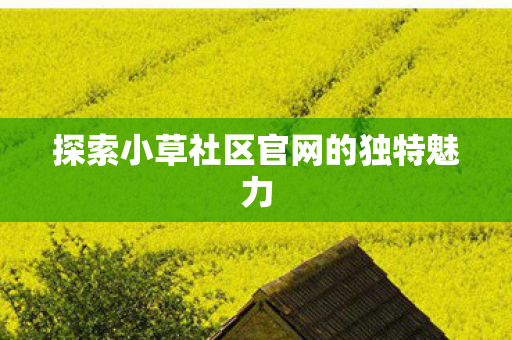 探索小草社区官网的独特魅力图片