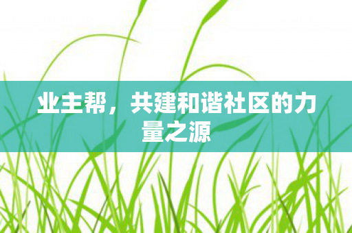 共建和谐社区的力量之源图片