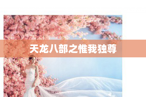 天龙八部之惟我独尊图片
