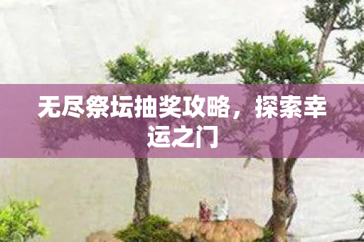 无尽祭坛抽奖攻略图片