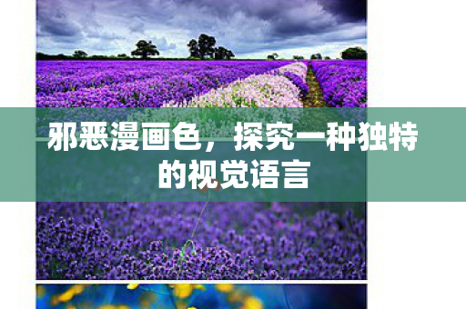 探究一种独特的视觉语言图片