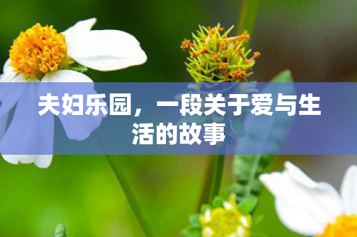 一段关于爱与生活的故事图片