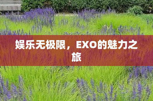 EXO的魅力之旅图片