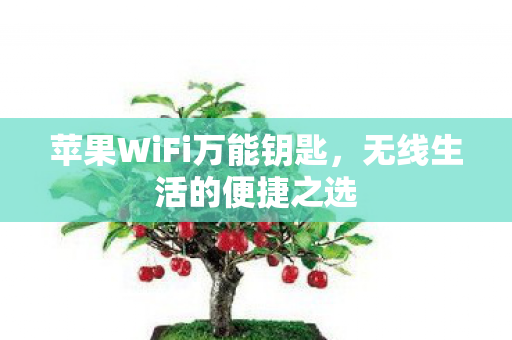 苹果WiFi万能钥匙图片