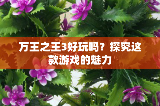 探究这款游戏的魅力图片