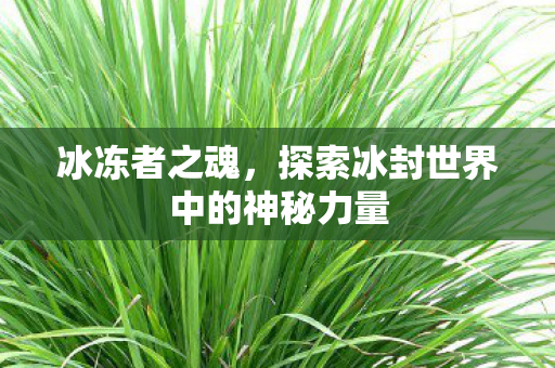 探索冰封世界中的神秘力量图片