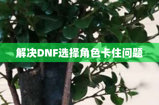 解决DNF选择角色卡住问题图片