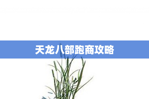 天龙八部跑商攻略图片