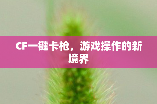 游戏操作的新境界图片