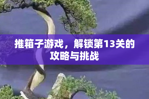解锁第13关的攻略与挑战图片
