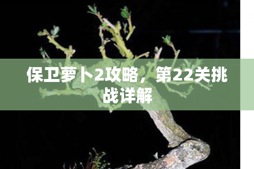 第22关挑战详解图片