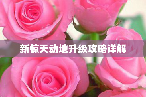 新惊天动地升级攻略详解图片